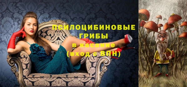 винт Алексин