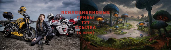 mix Аркадак
